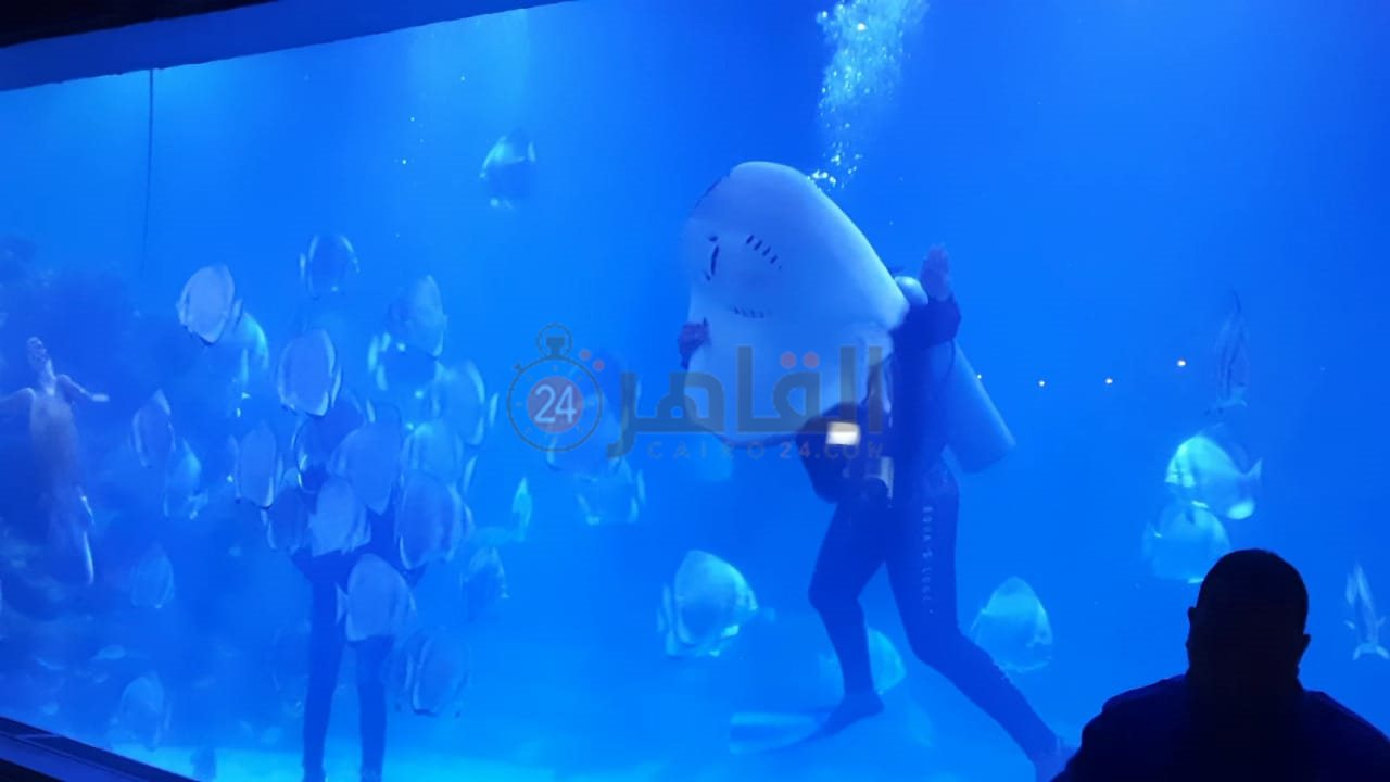 أكواريوم بالغردقة