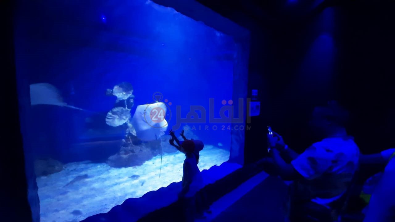 أكواريوم بالغردقة