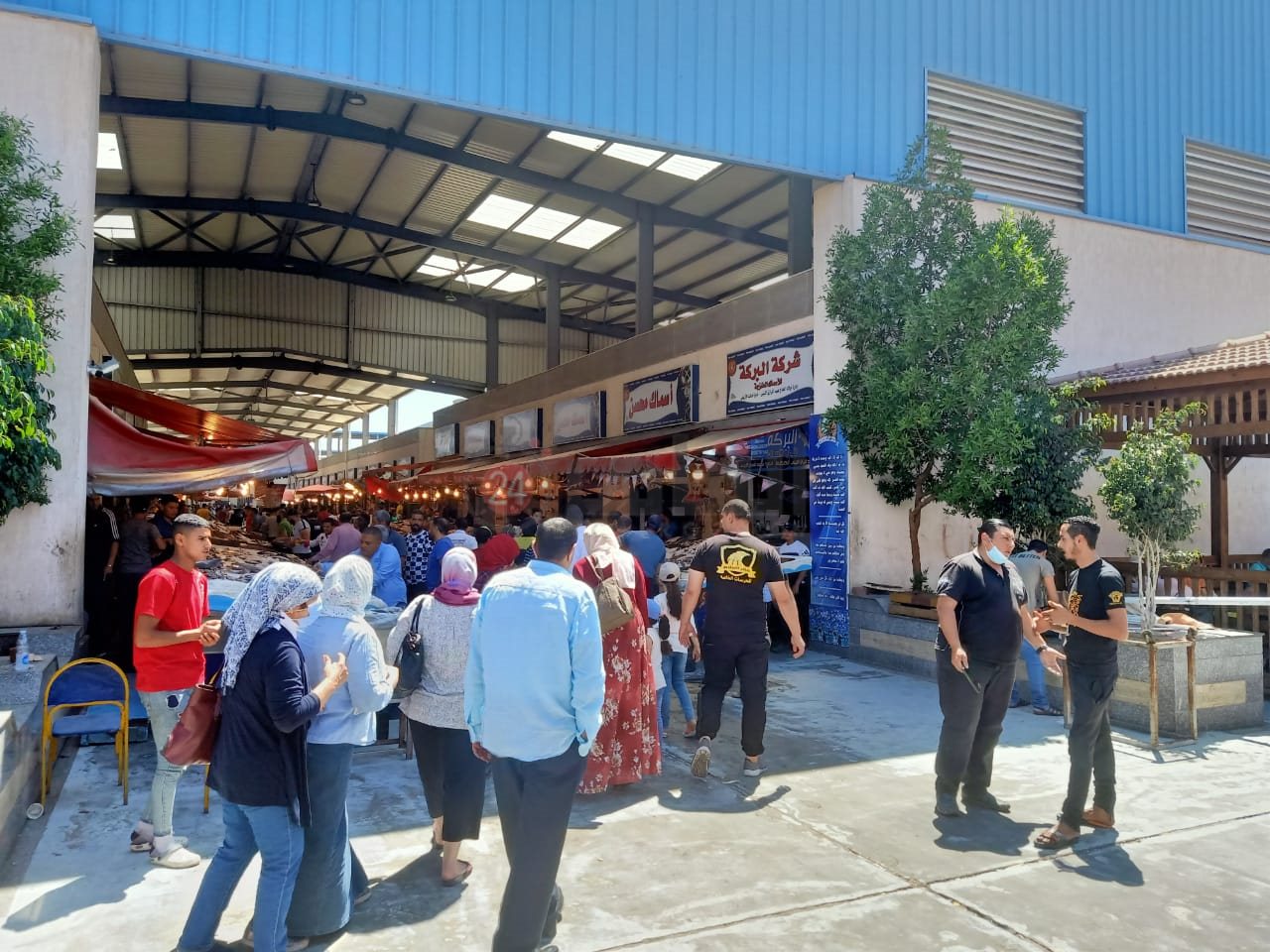 سوق أسماك بورسعيد 