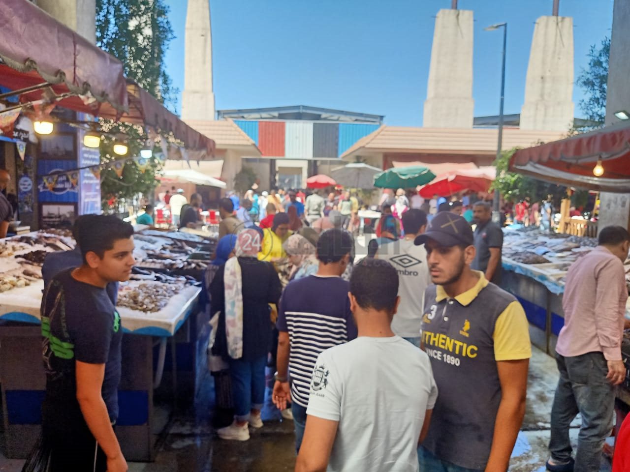 سوق الأسماك المطور ببورسعيد 