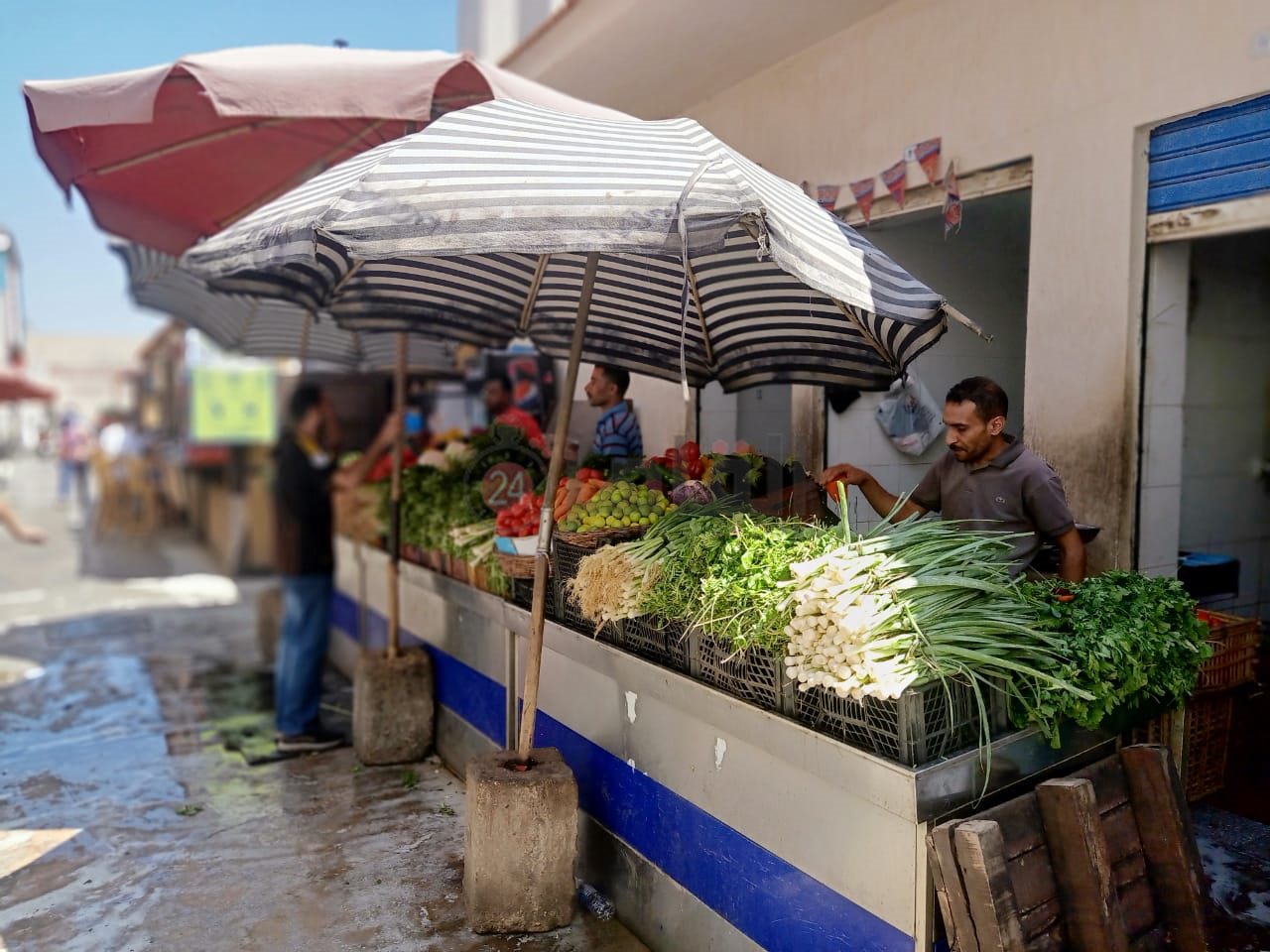بائعوا السلطة بسوق أسماك بورسعيد 