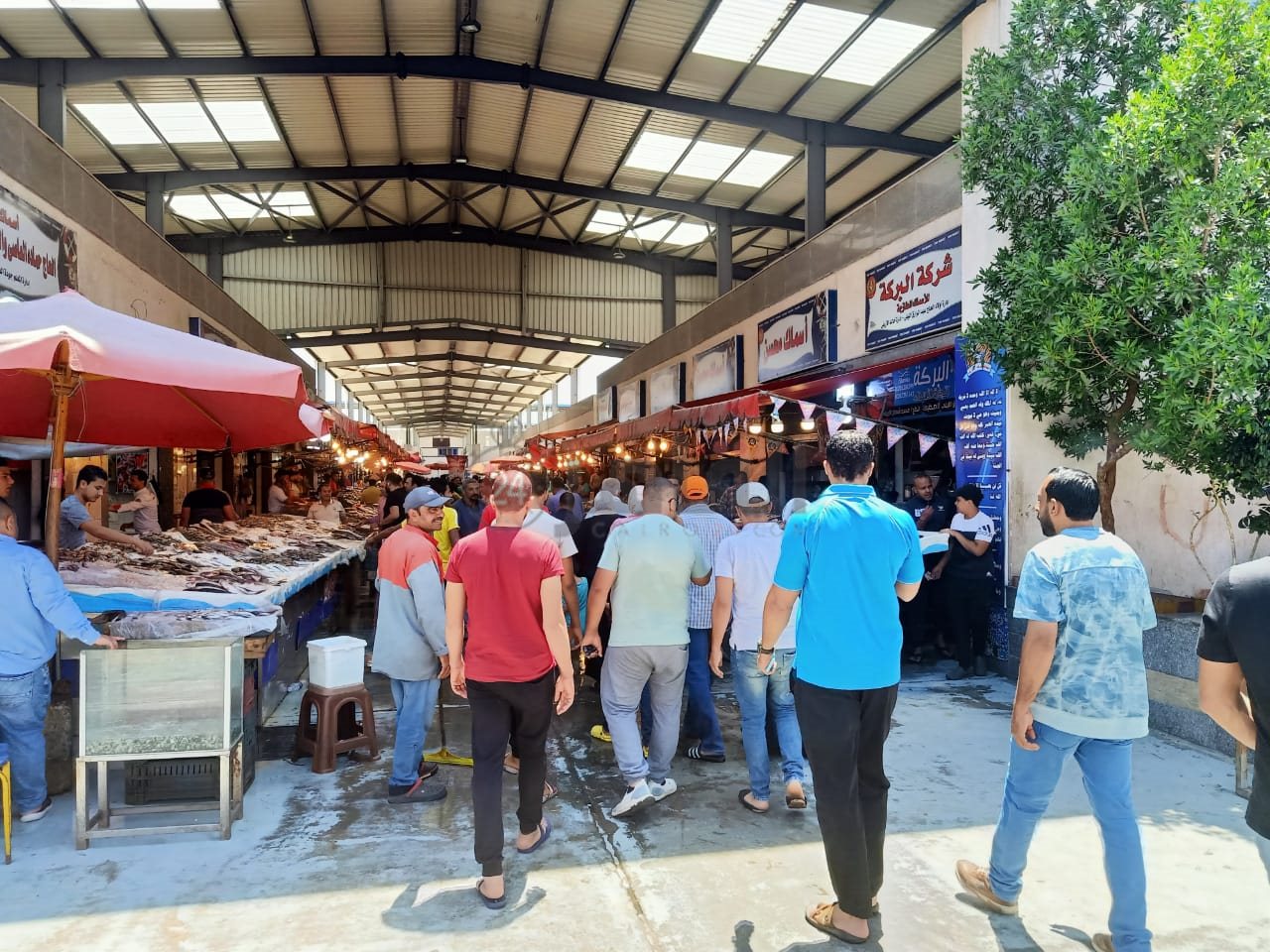 رحلات سياحية بسوق الأسماك ببورسعيد 