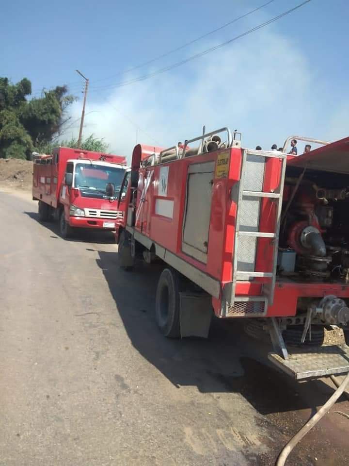 حريق جنينة أشجار بالمنوفية 