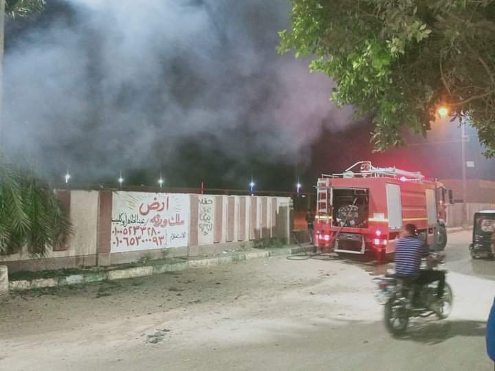 اندلاع حريق بأشجار نخيل بأسوان 