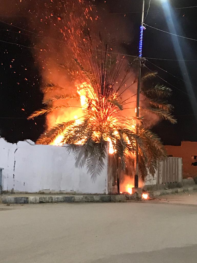 اندلاع حريق بأشجار نخيل بأسوان 