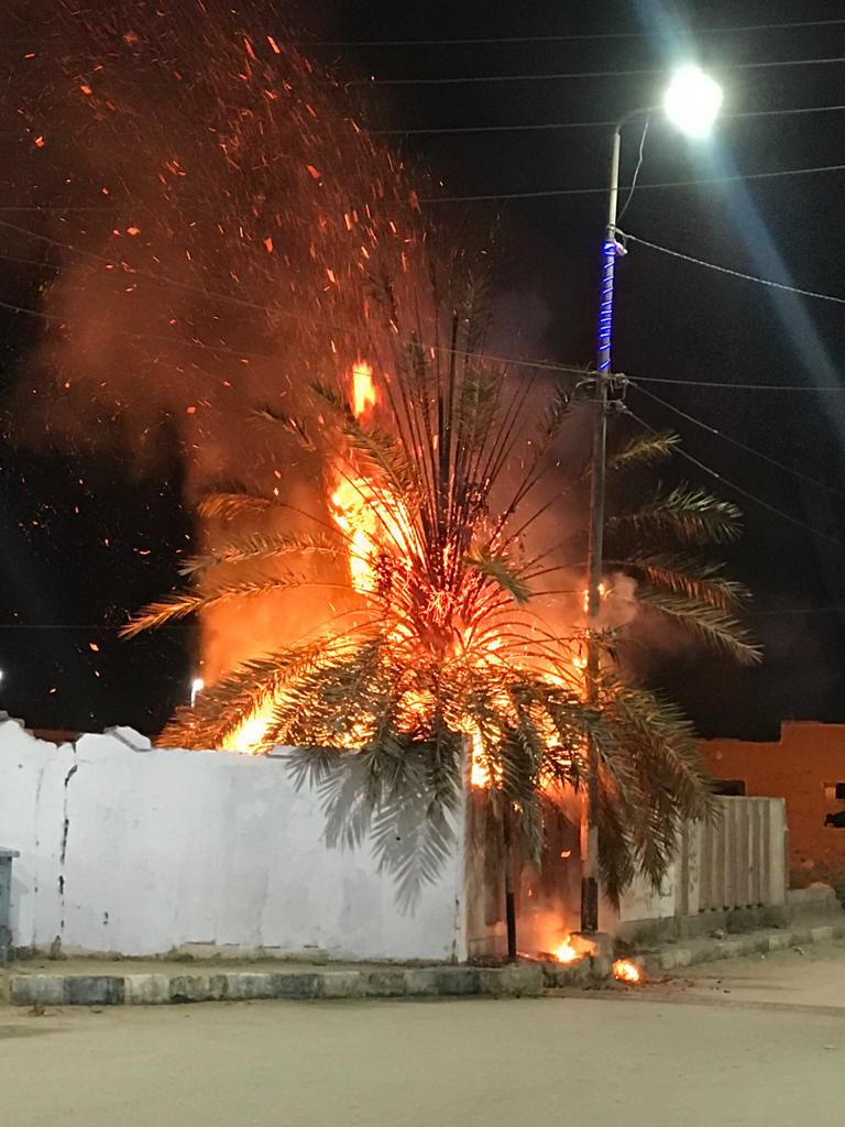 اندلاع حريق بأشجار نخيل بأسوان 