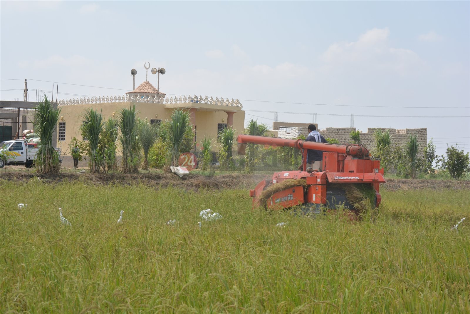 سهل الطينة ببورسعيد