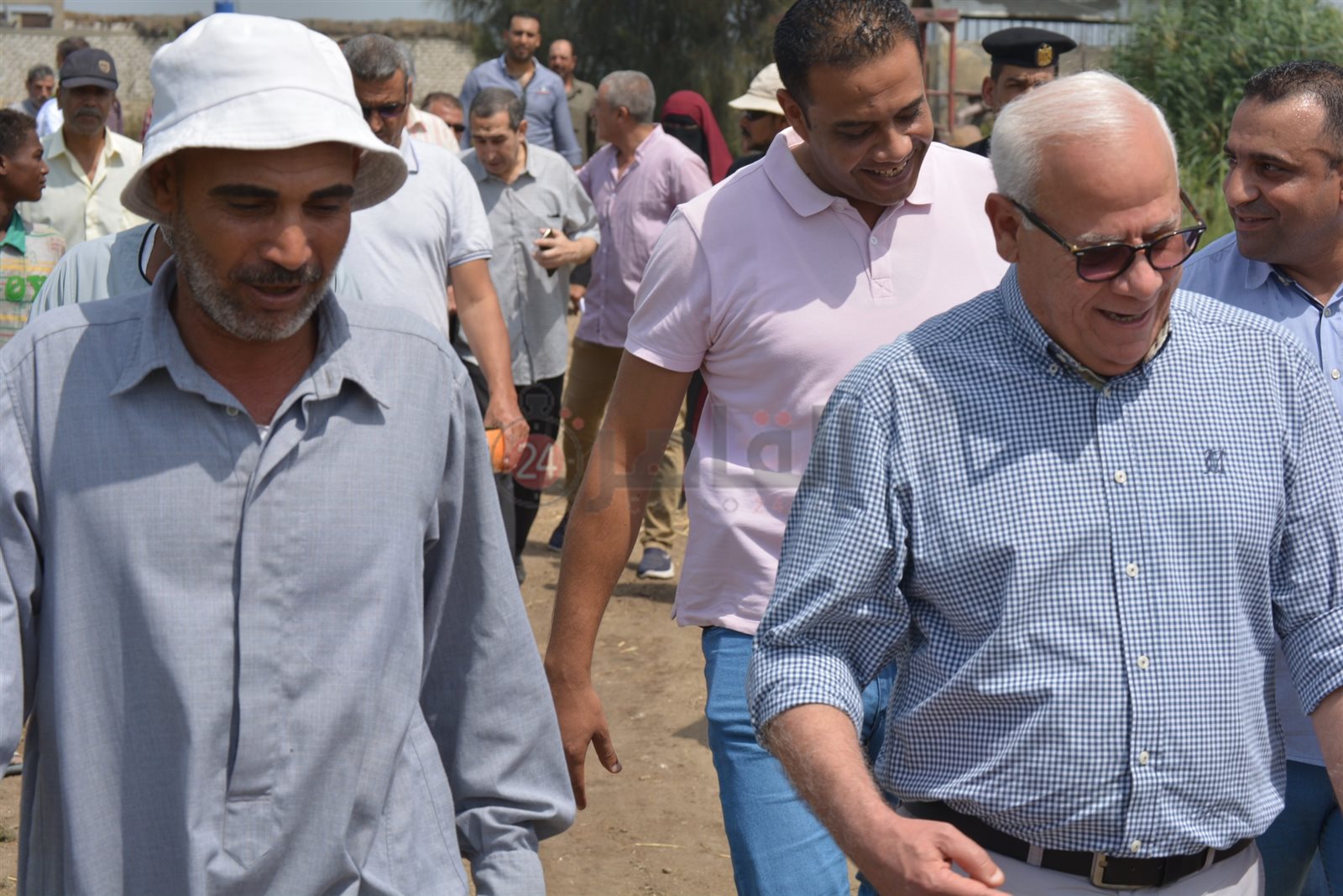 موسم حصاد القمح ببورسعيد 