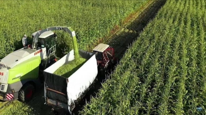 IMG_٢٠٢١٠٩٠٣_١٨٥٣٠٩