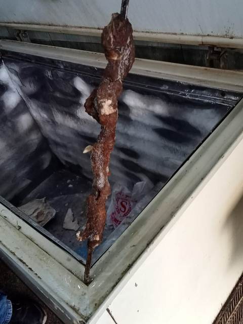 غلق مطعمين مخالفين بالشرقية 05