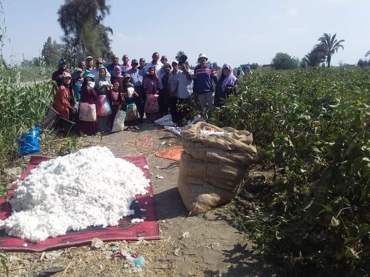 received_371476514525044