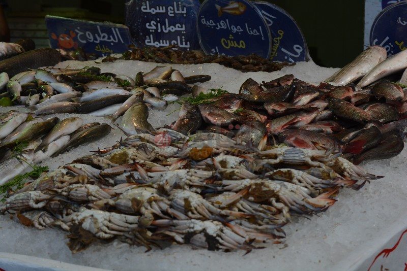 كيلو كابوريا بـ جنية 