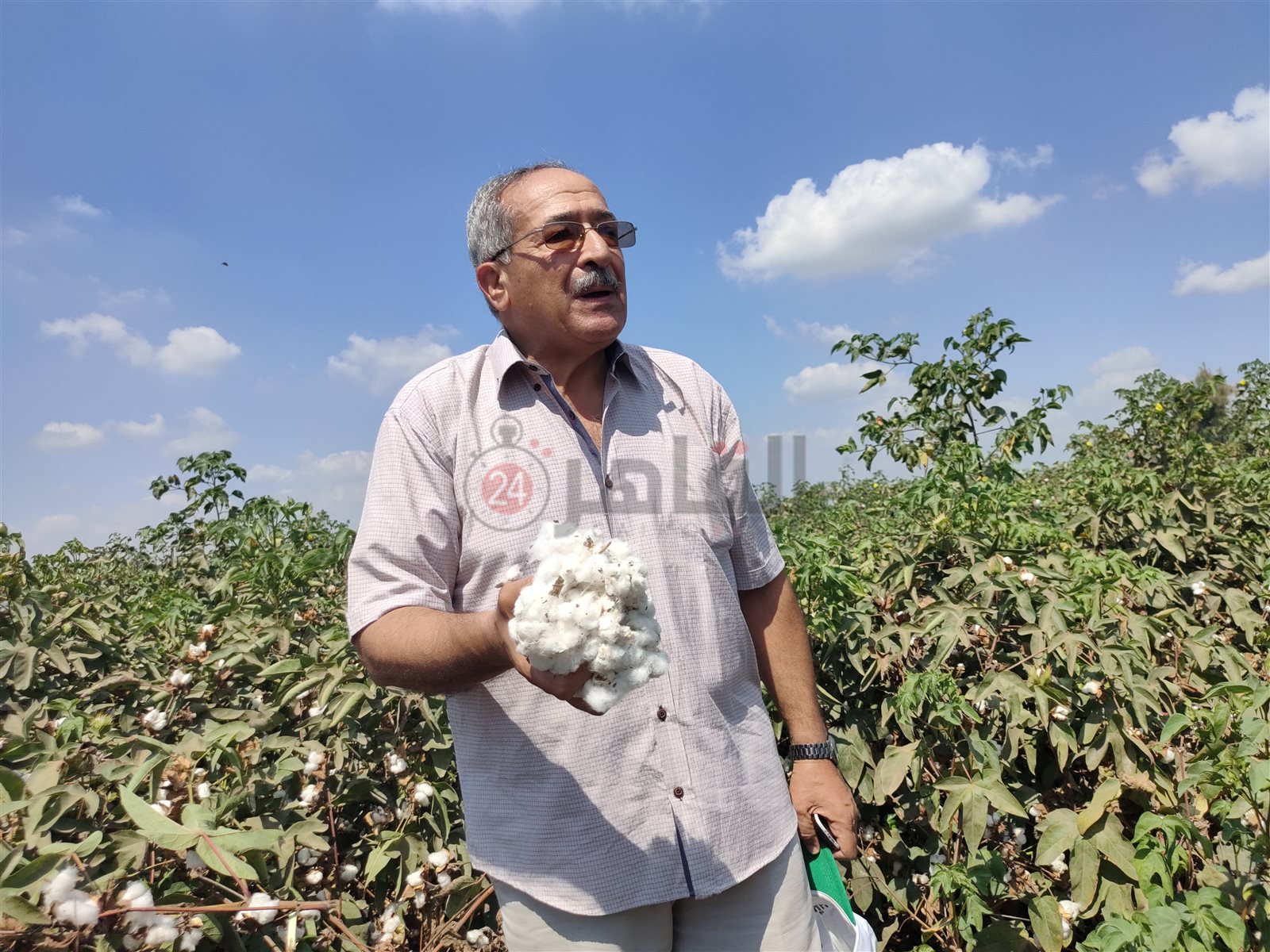 المهندس سليمان غيث، وكيل وزارة الزراعة الأسبق وصاحب الحقل