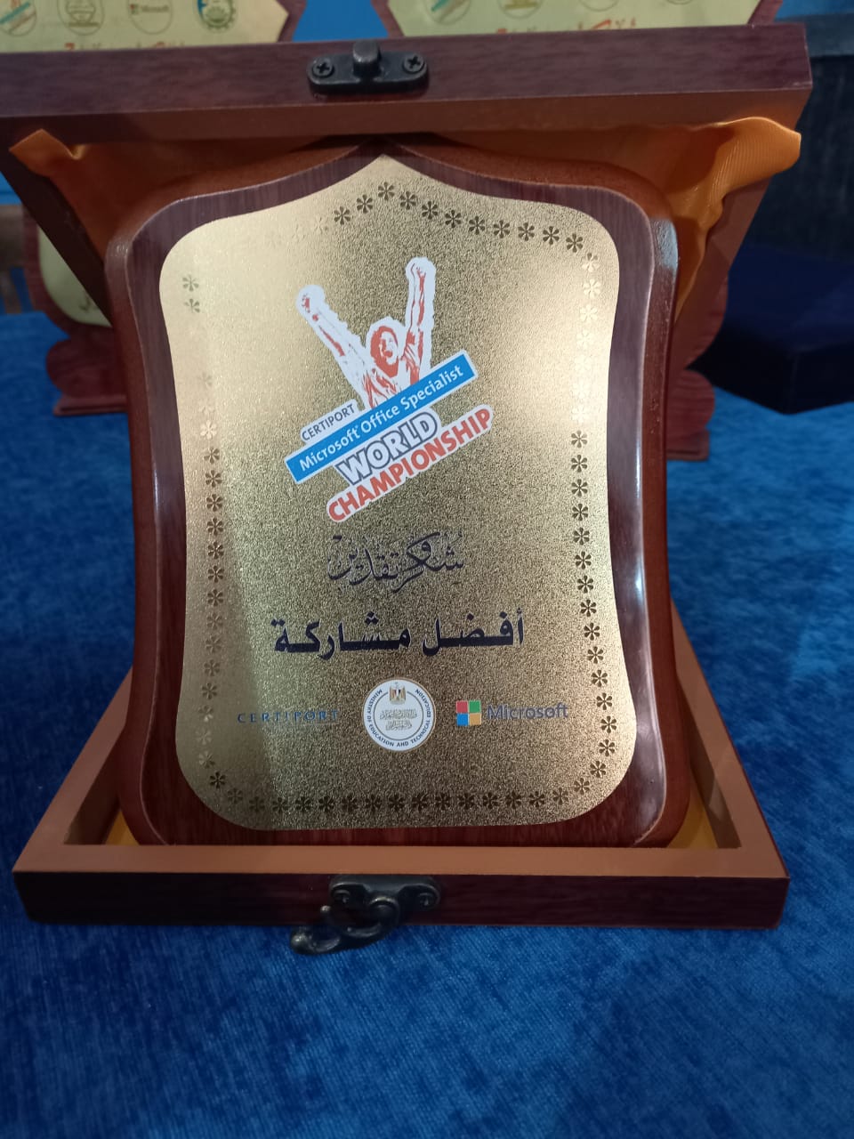 فوز فريق الفيوم كأفضل مشاركة