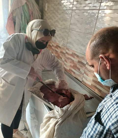 حملة تفتيشية على محال الجزارة والأسماك بالشرقية