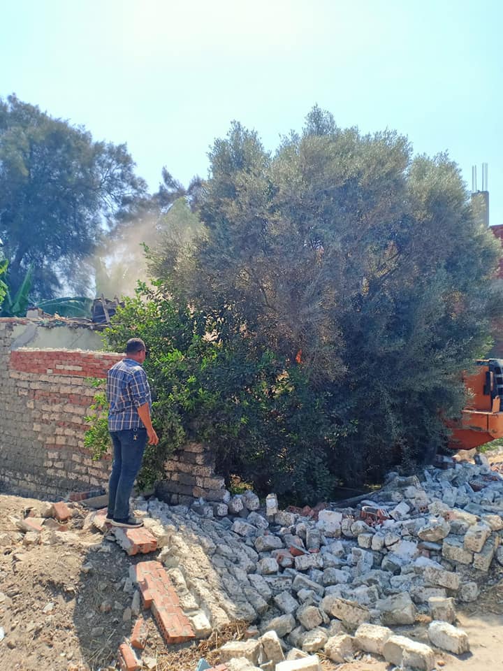 إزالة حالات تعدي على أراضي أملاك الدولة بالشرقية 05