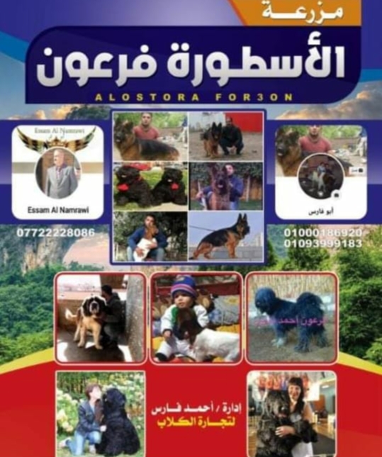 IMG_٢٠٢١٠٩٢١_١٣٤٦١٤