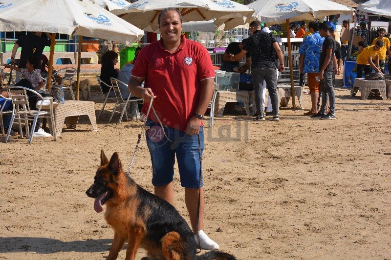 مشاركة الكلاب في فاعليات اليوم 