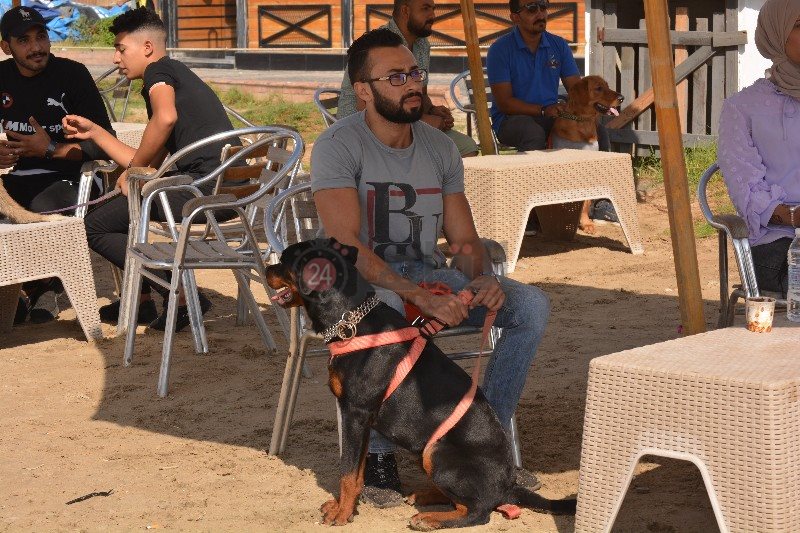 مشاركة الشباب في فاعليات اليوم 