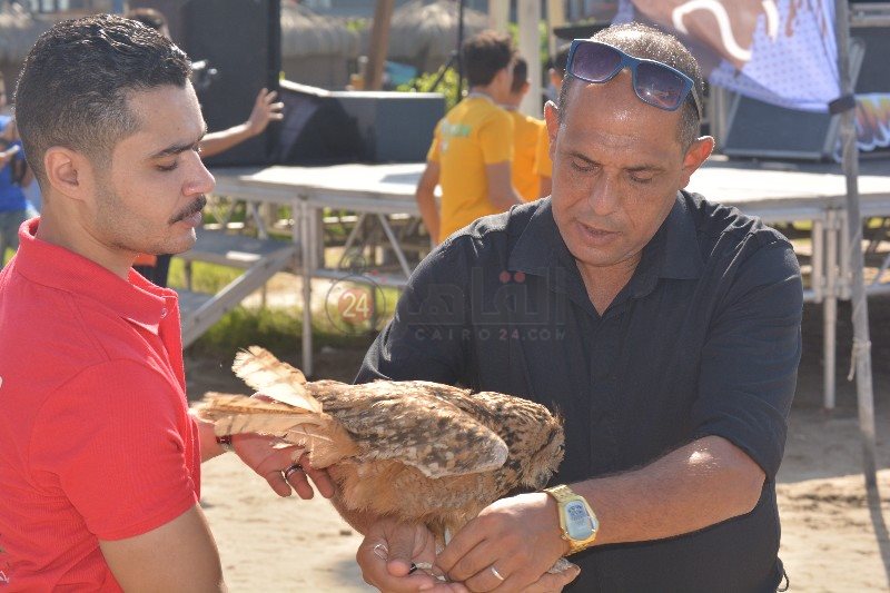 DSC_0013_copy_800x533