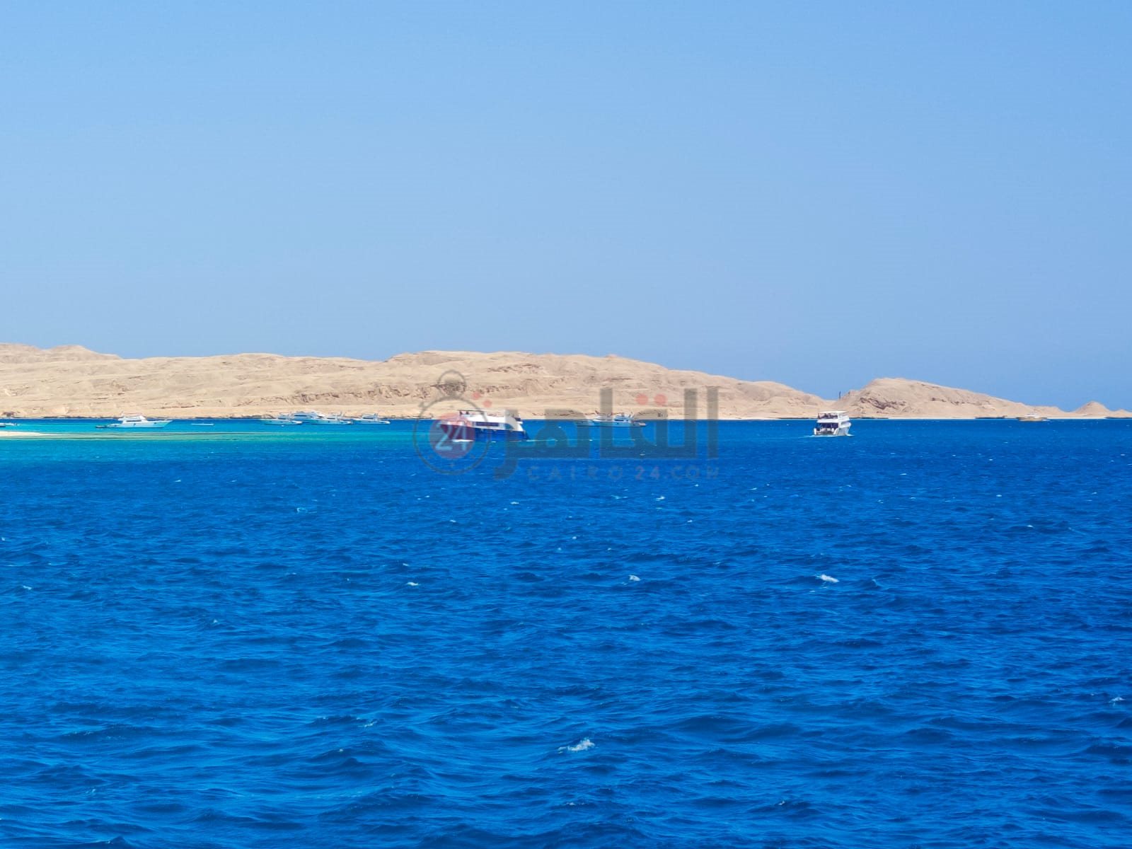 نشاط ملحوظ لممارسة رياضات الغطس والاسنوركلينج بالغردقة