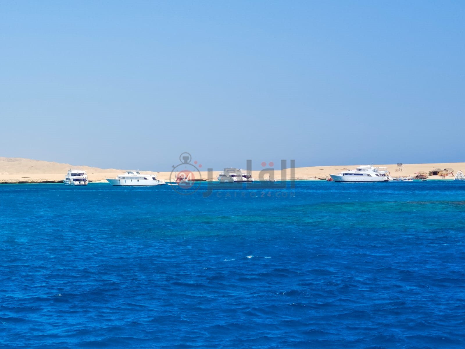 نشاط ملحوظ لممارسة رياضات الغطس والاسنوركلينج بالغردقة