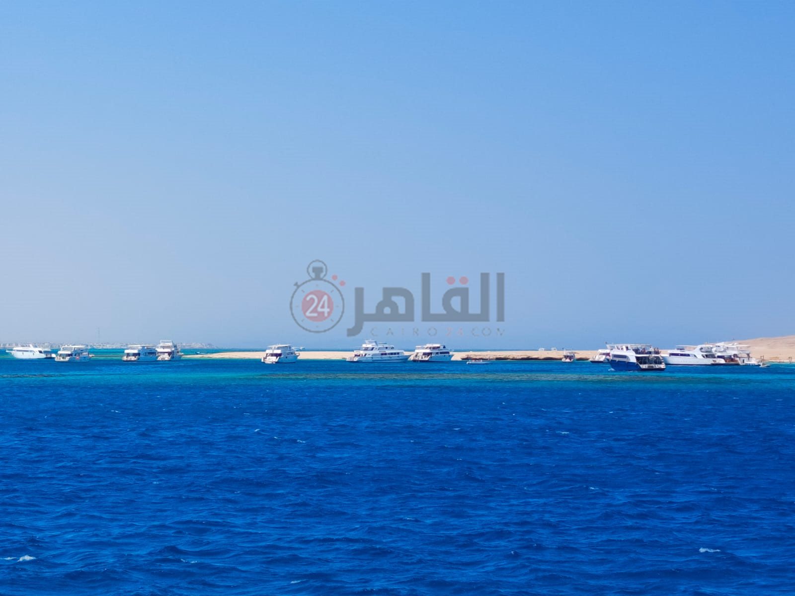 نشاط ملحوظ لممارسة رياضات الغطس والاسنوركلينج بالغردقة