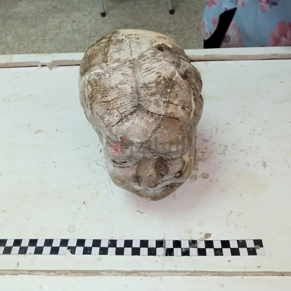 ترميم القطع الأثرية بالمخزن المتحفي بالمطرية (4)