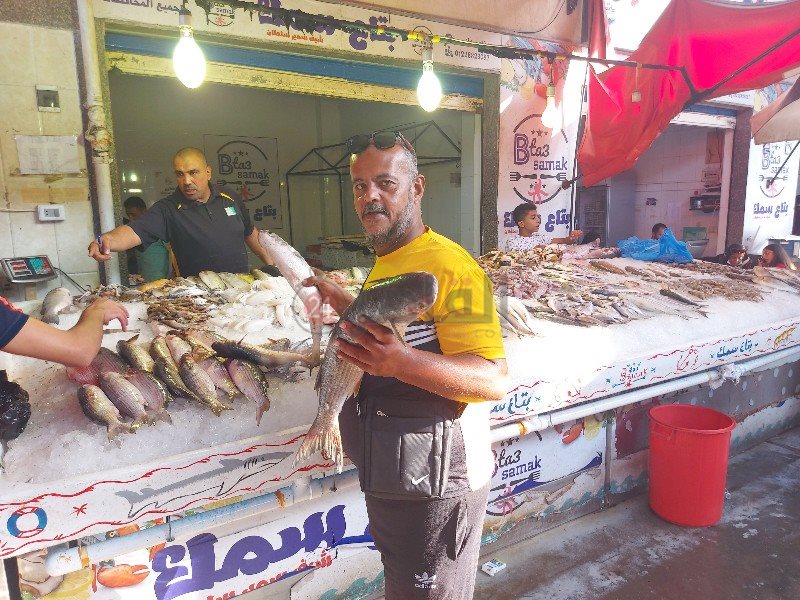 تنوع الأسماك ببورسعيد 