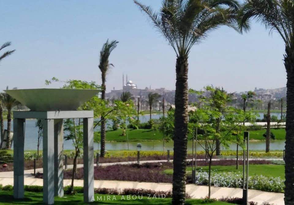 FB_IMG_1633202645988