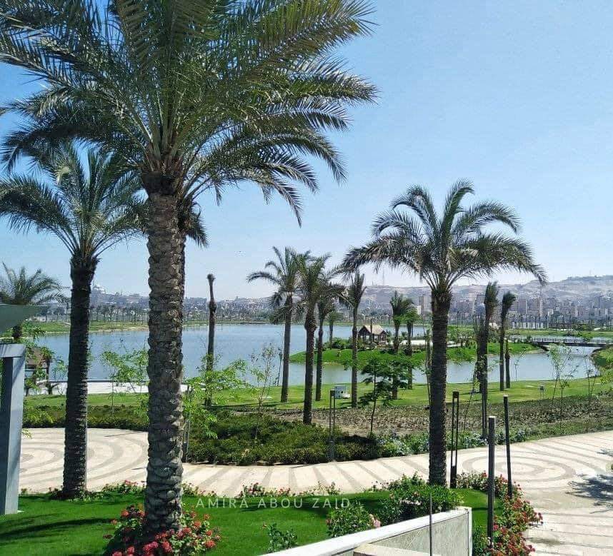 FB_IMG_1633202648711