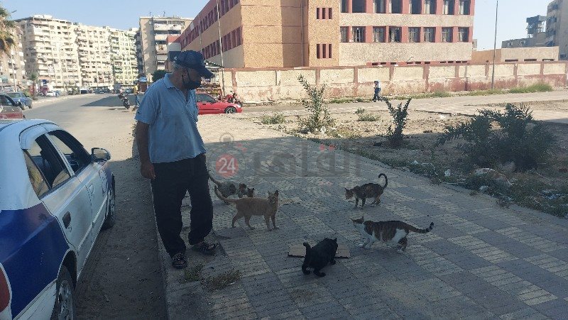 راعي القطط ببورسعيد