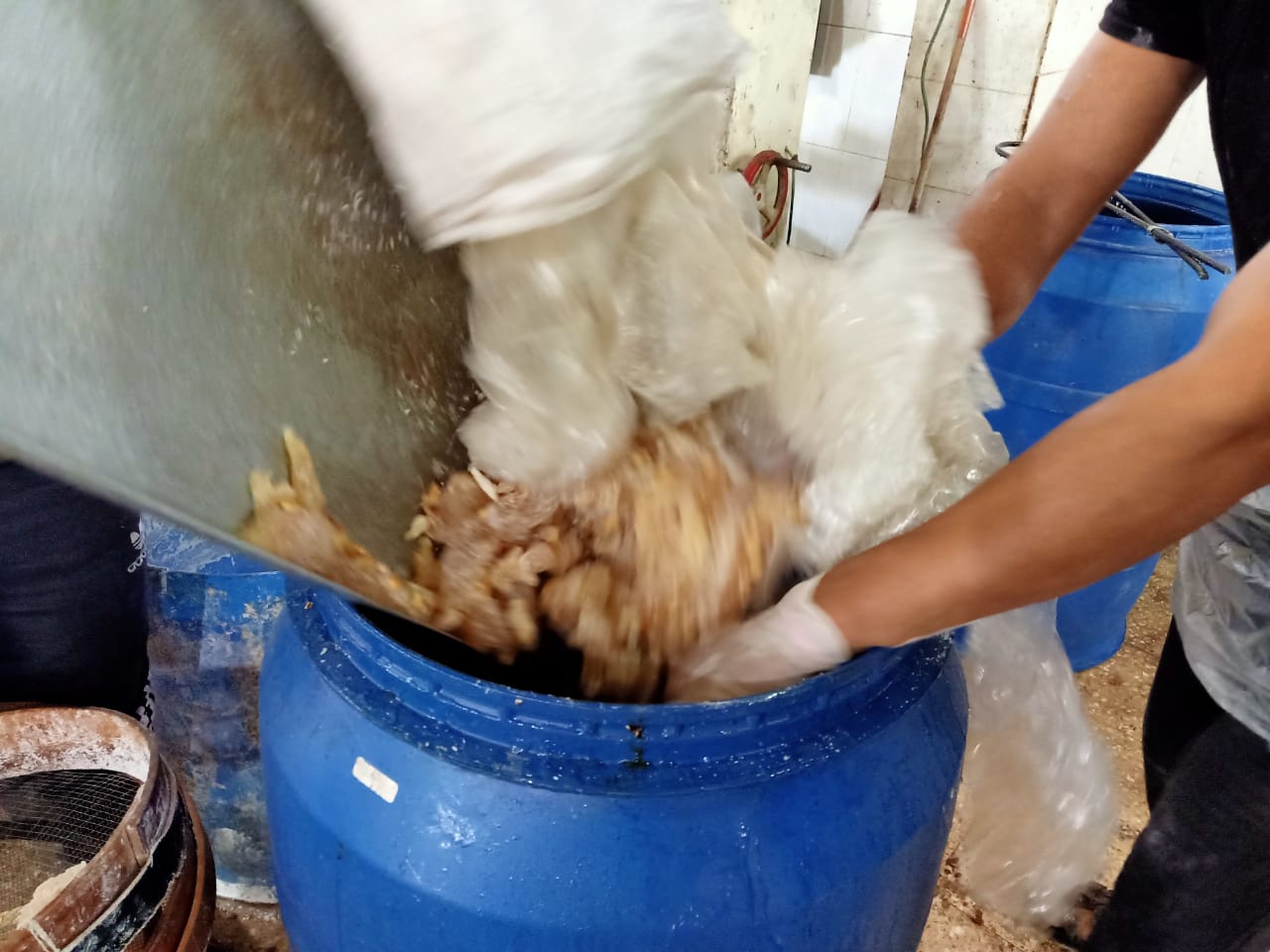 إعدام حلوى فاسدة