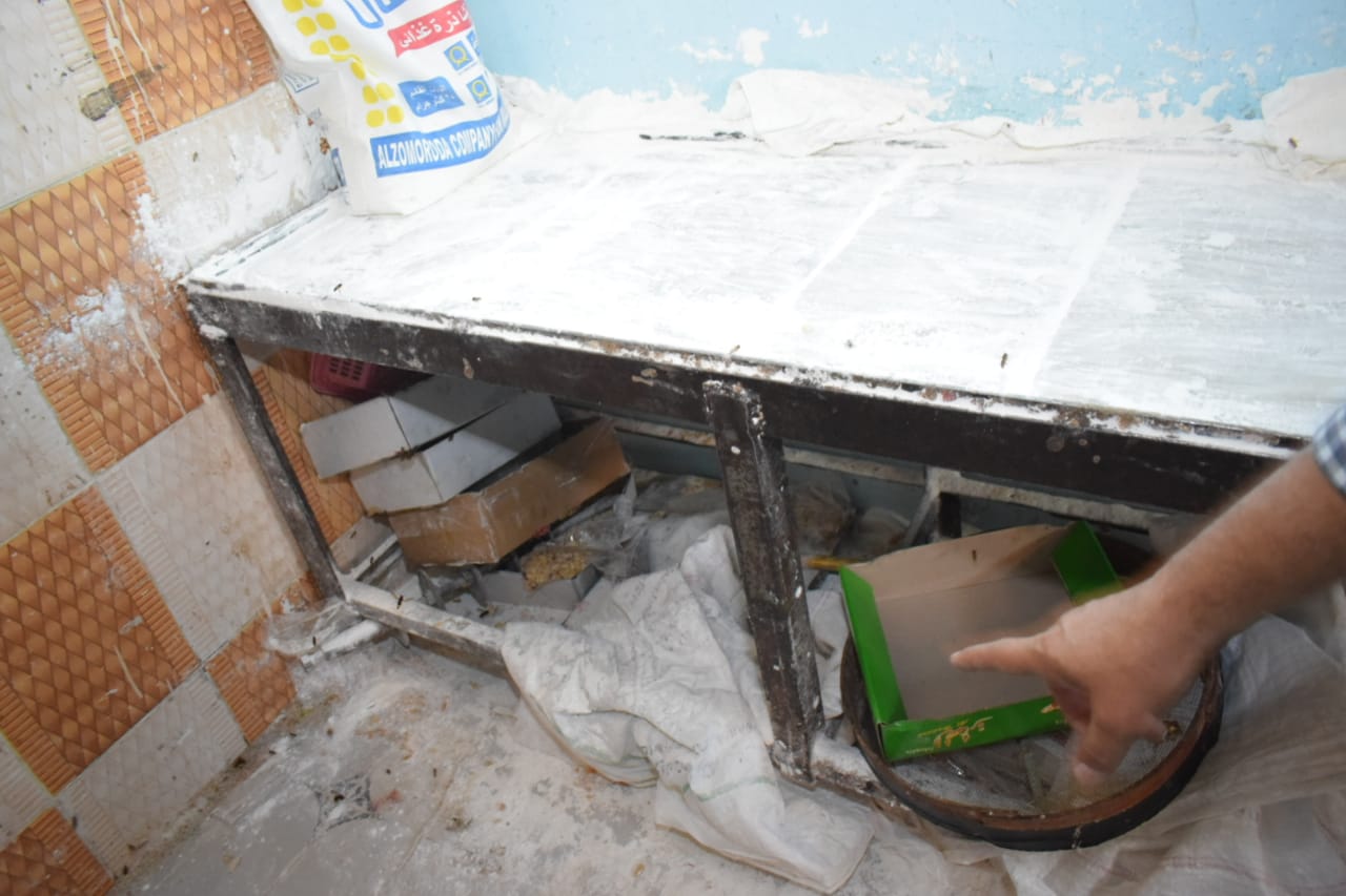 حشرات في حلوى المولد بالشرقية 04