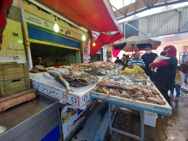 ٢٠٢١١٠٠٨_١٣٢٢١٩_copy_800x600