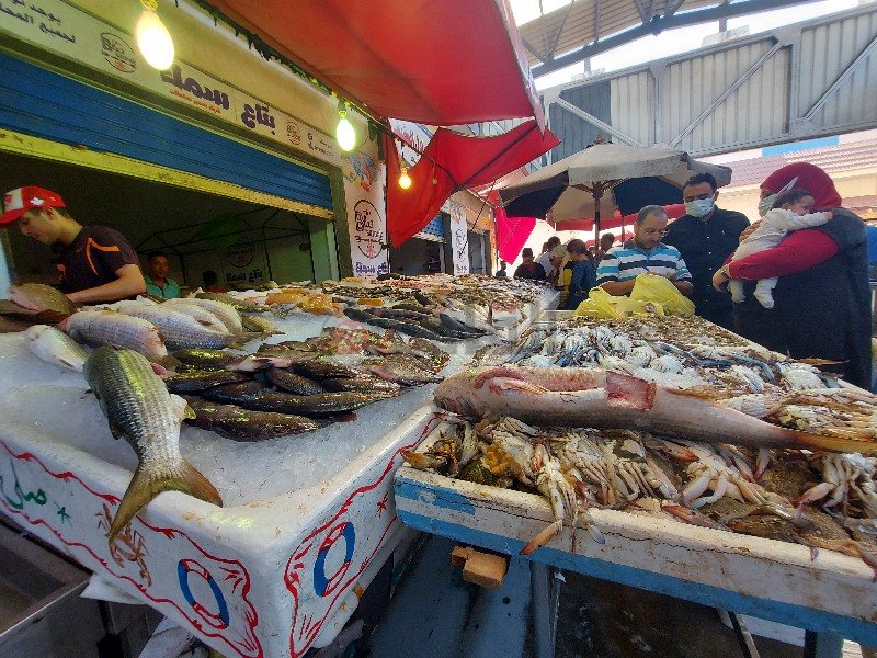 سوق أسماك بورسعيد النموذجي 