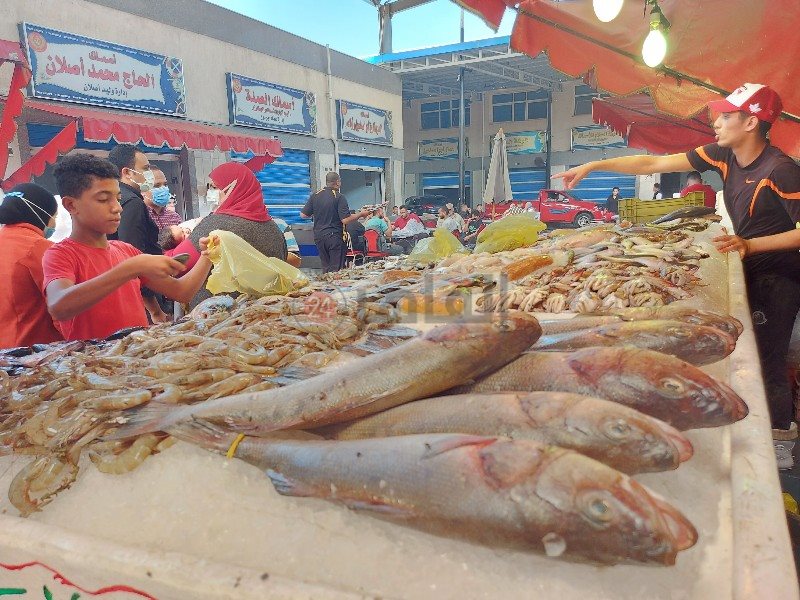 إقبال الرحلات علي سوق أسماك بورسعيد 