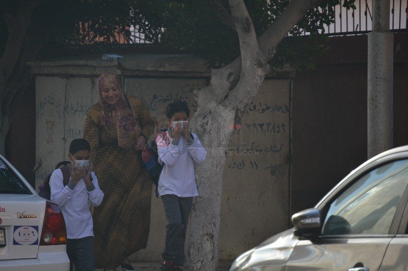 DSC_0282_copy_800x533