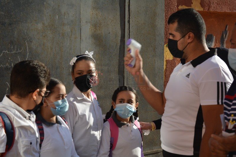 DSC_0288_copy_800x533