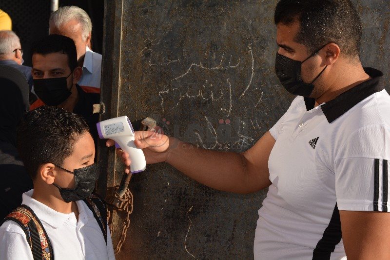 DSC_0295_copy_800x533