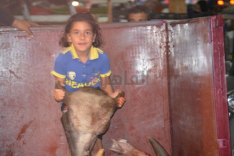 عبد الله يحمل رأس العجل