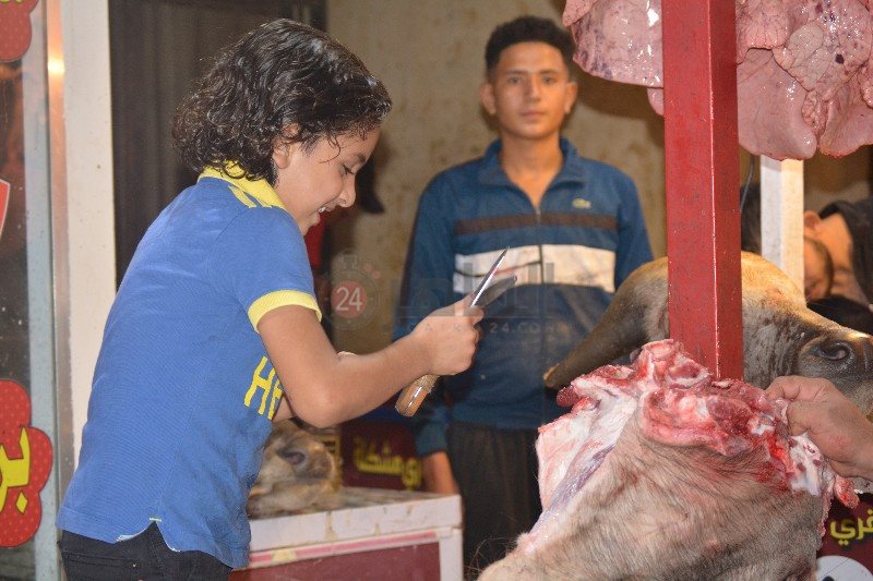 عبد الله أصغر جزار ببورسعيد 