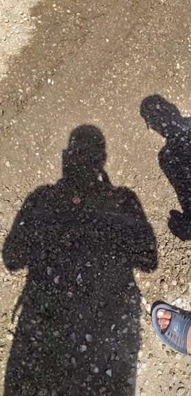 واقعة قطار خط الواحات البحرية 