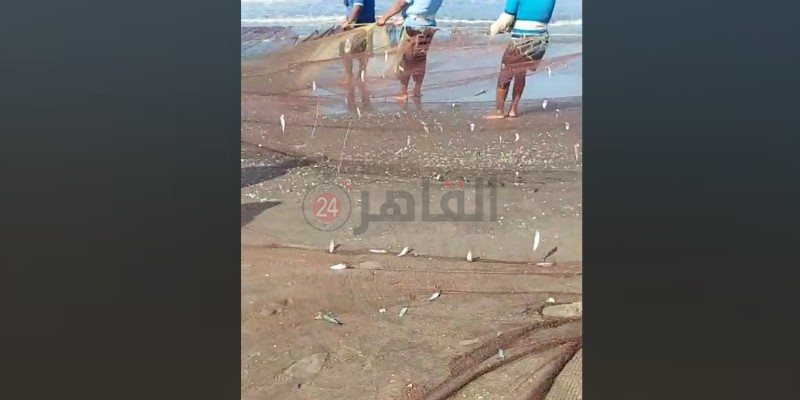 الأسماء في شباك الصيادين