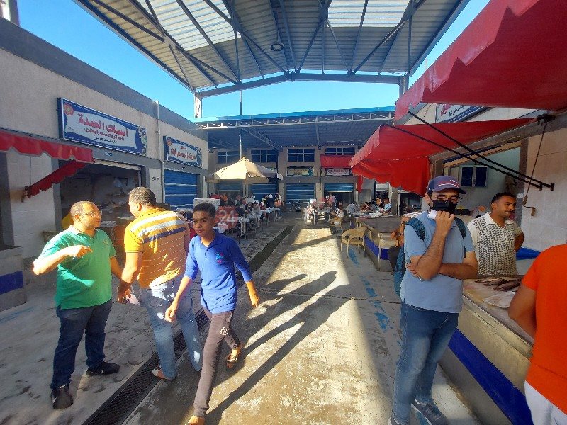 إقبال كثيف علي شراء الأسماك _copy_800x600