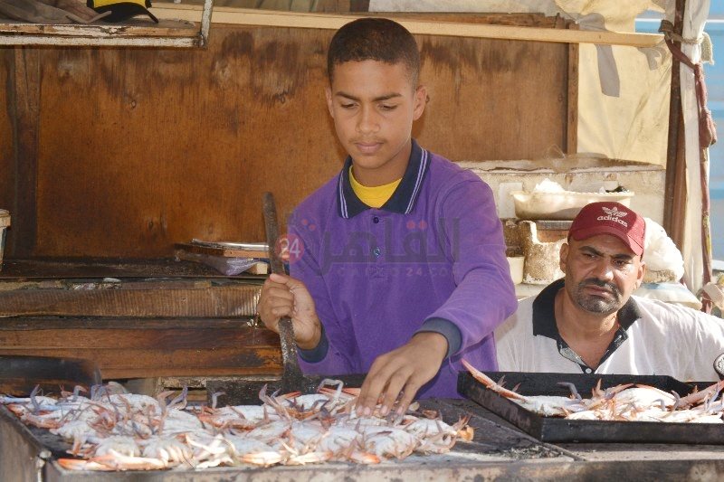 طالب يوفر مصروفات التعليم من شوي الأسماك 