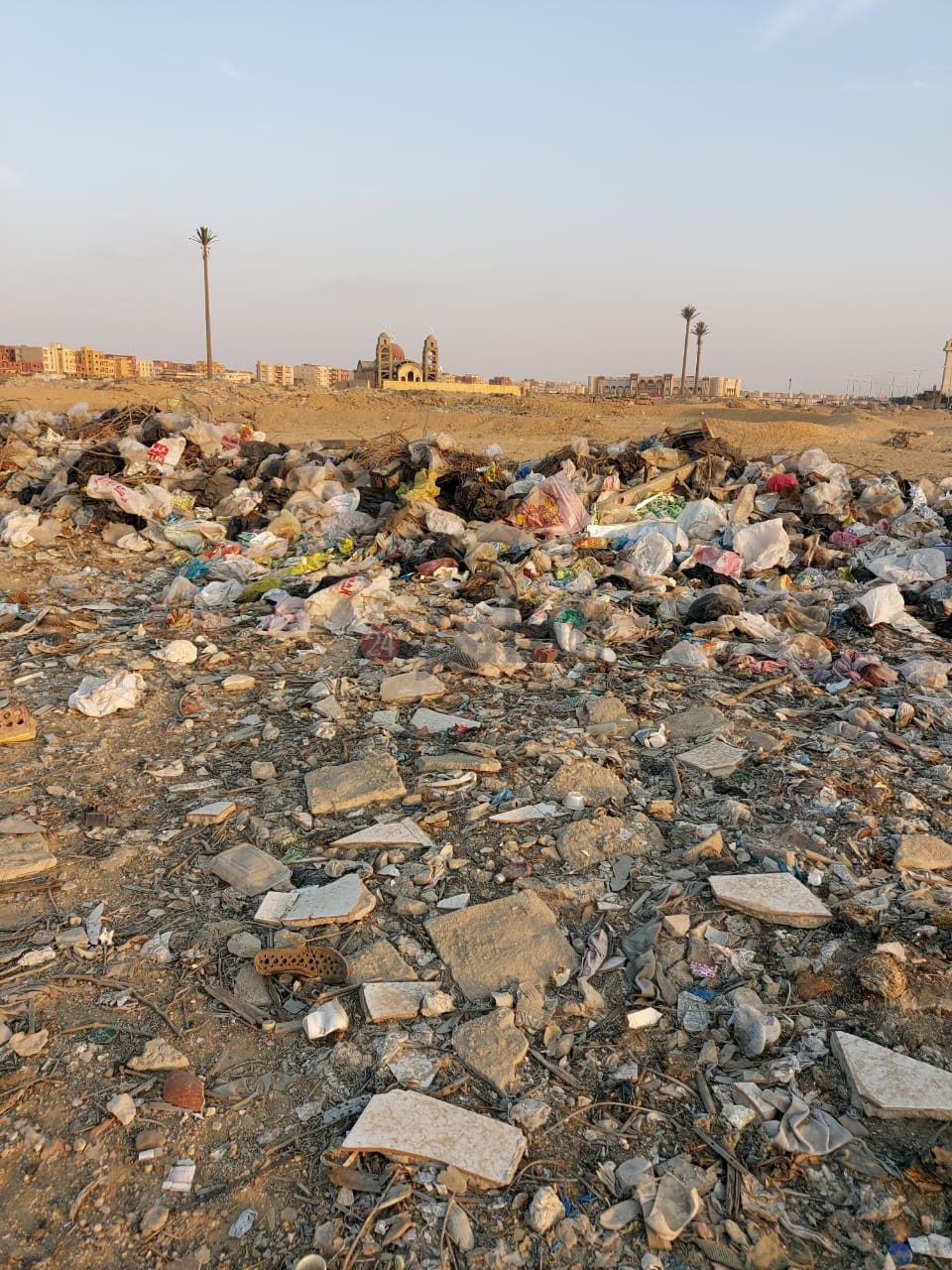 مكان العثور على بقايا الحمار بالعاشر من رمضان 01