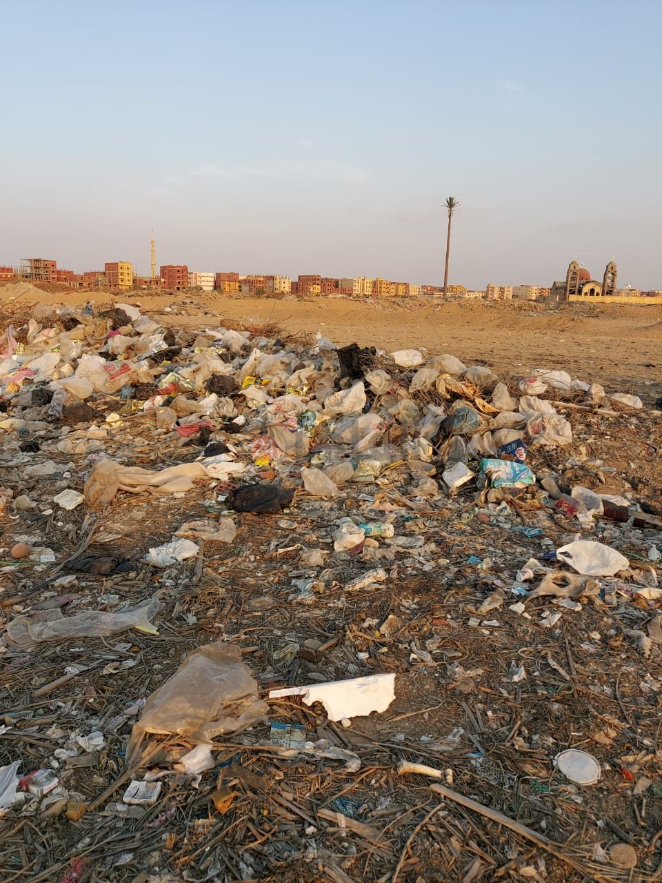 مكان العثور على بقايا الحمار بالعاشر من رمضان 03