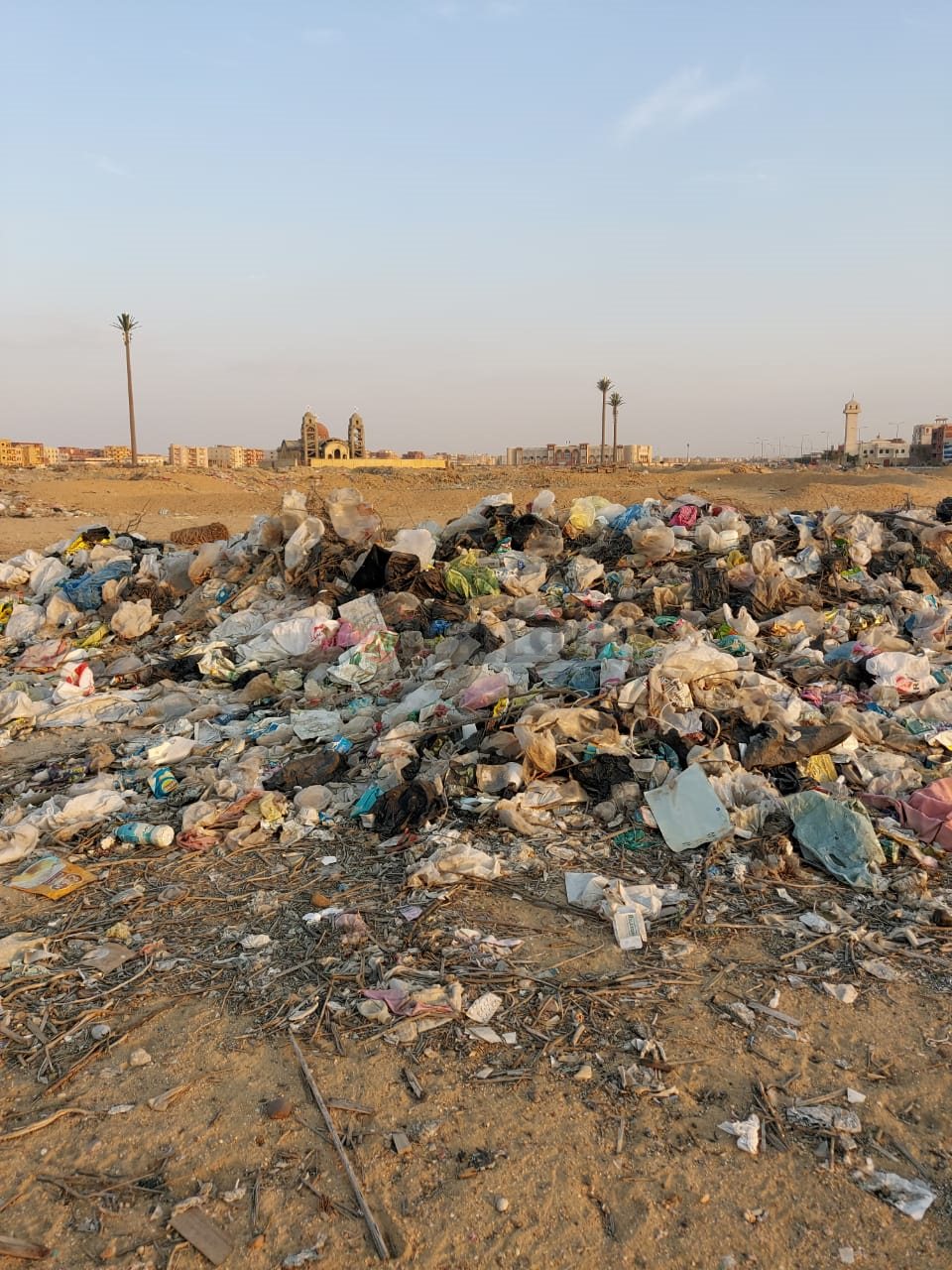 مكان العثور على بقايا الحمار بالعاشر من رمضان 04