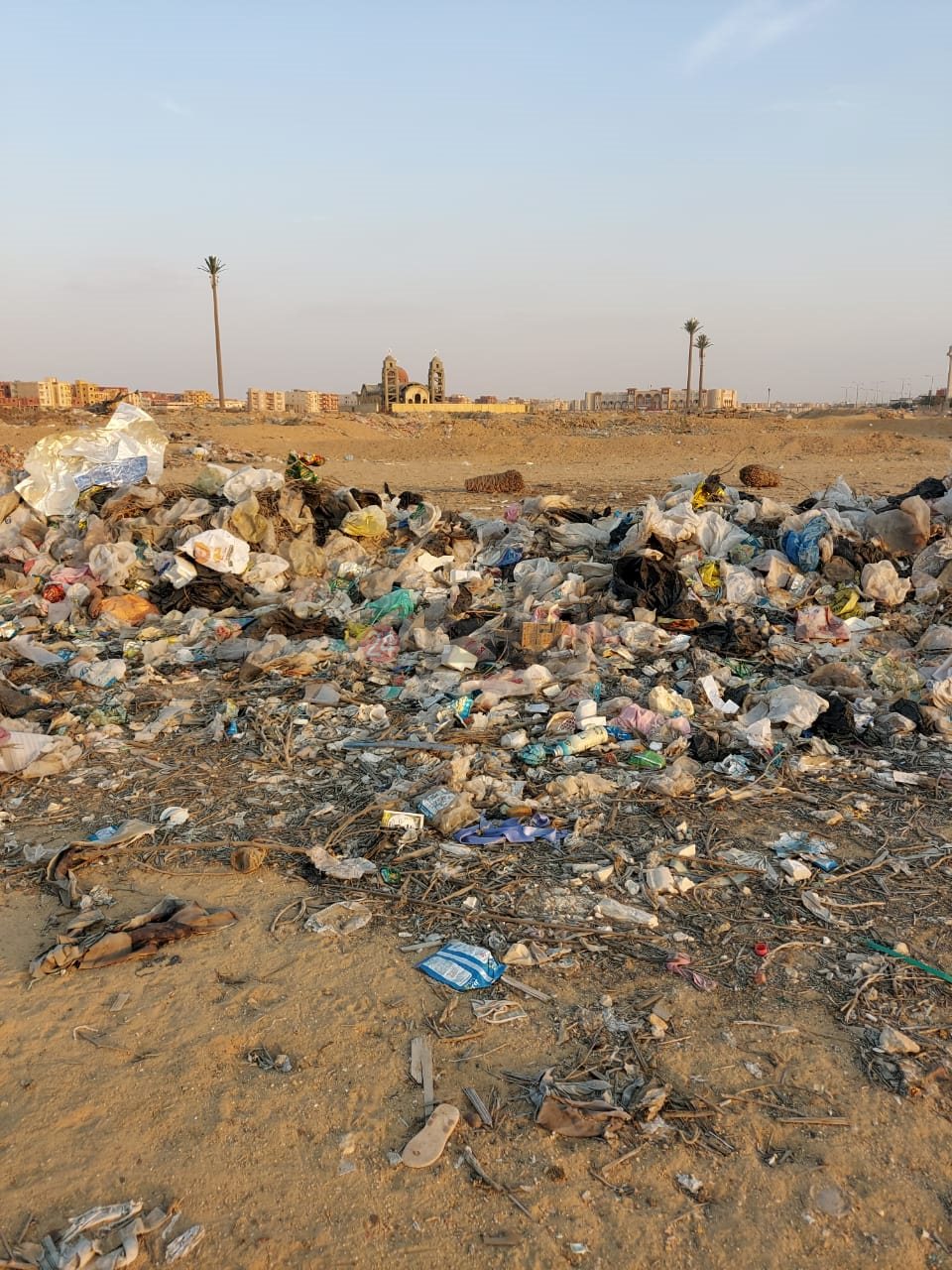 مكان العثور على بقايا الحمار بالعاشر من رمضان 05